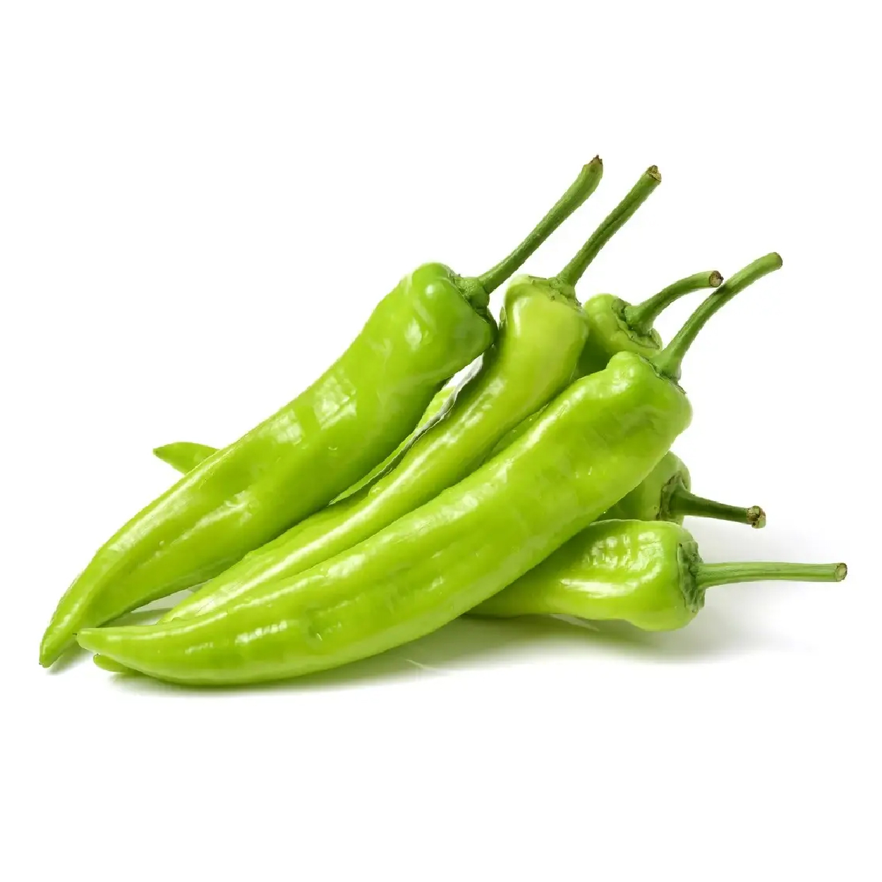 carliBiber