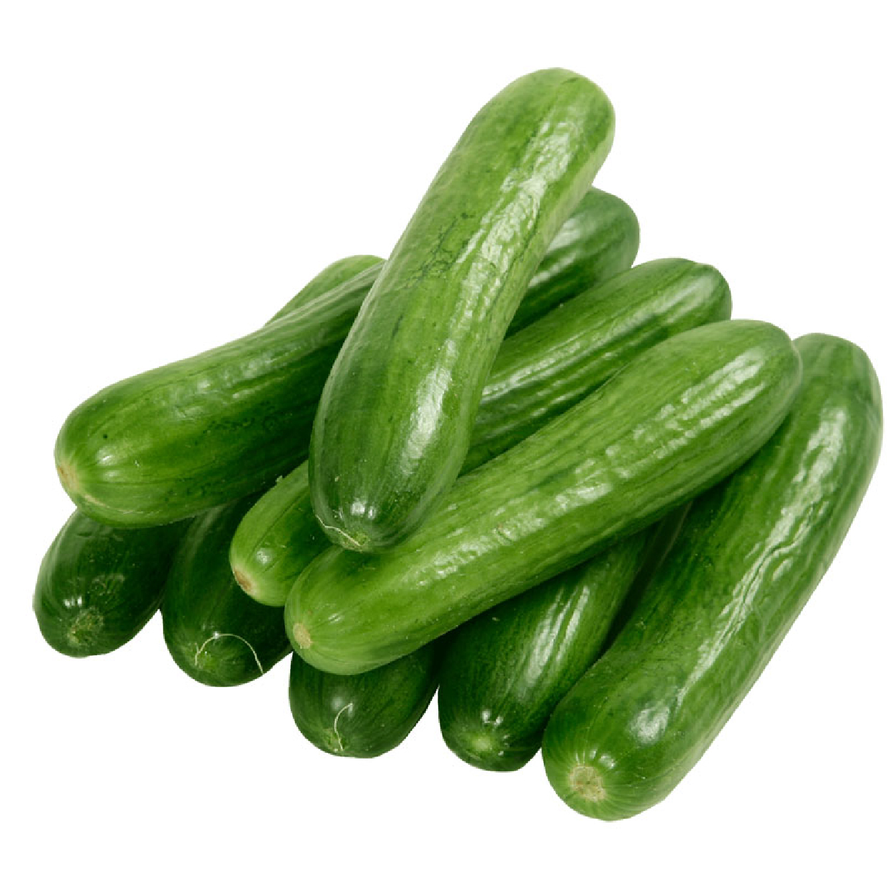 dolmaBiber