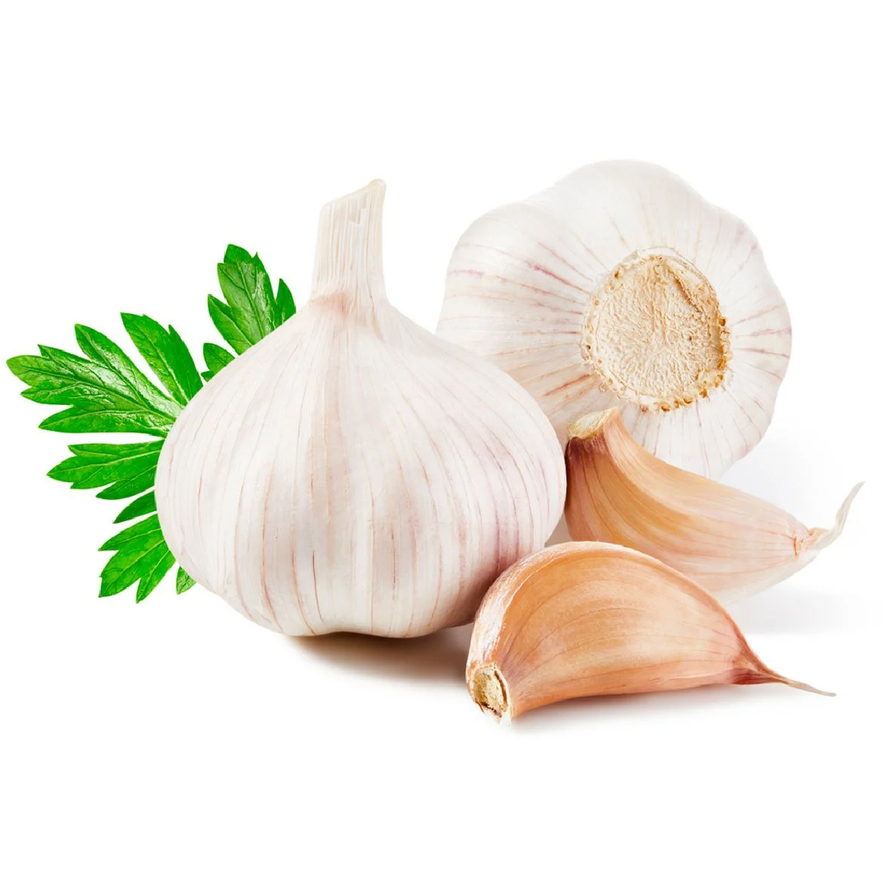 dolmaBiber
